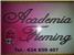 Academia Fleming